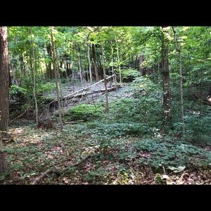 Meet your Posher, Kennedy